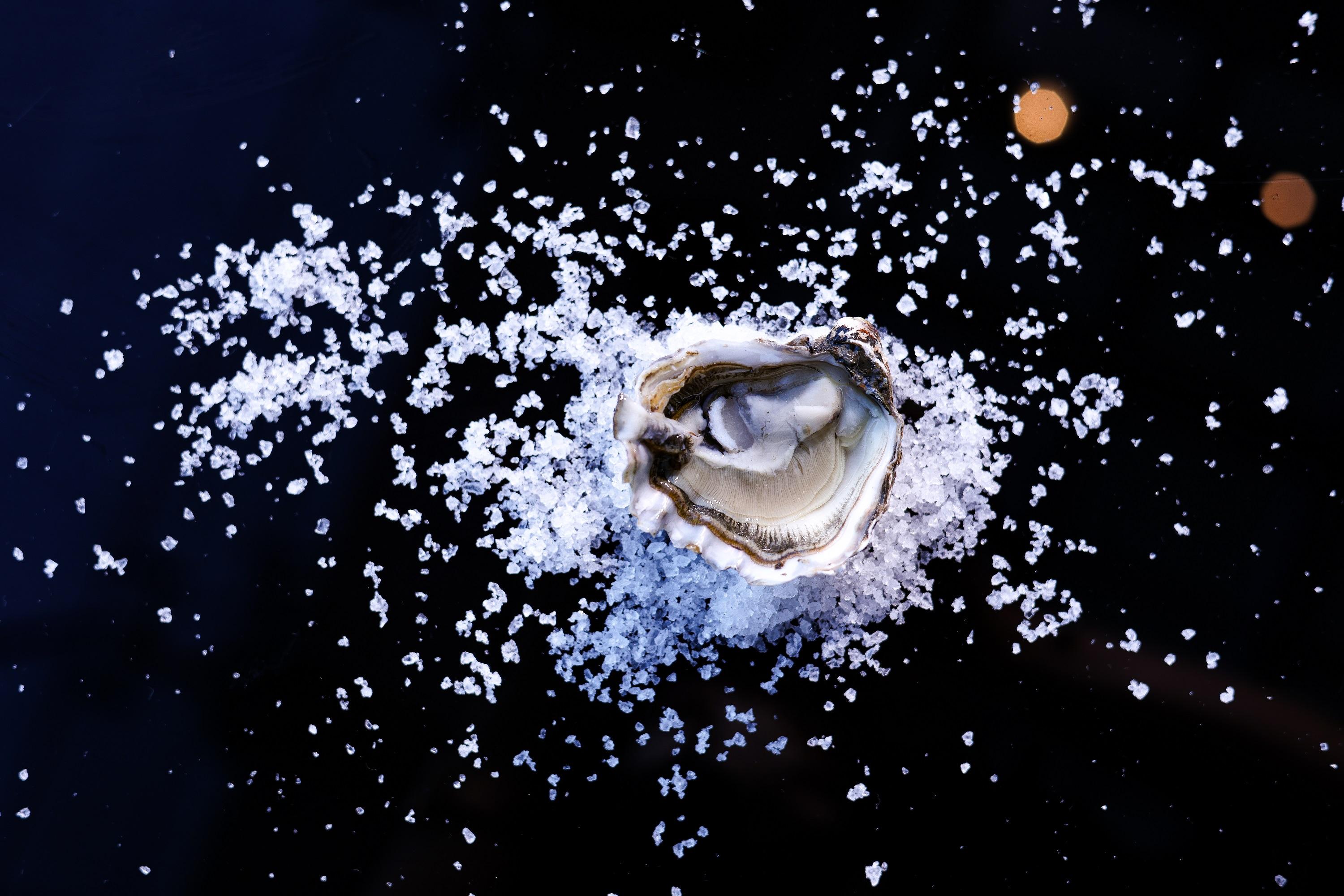 熊本蠔 Kumamoto (美國) (港幣$65)