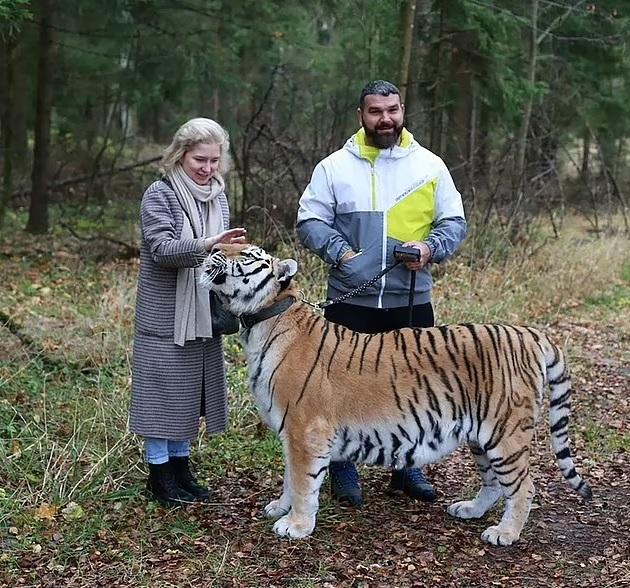 Zoya Kaygorodova生前與老虎合照。(互聯網)
