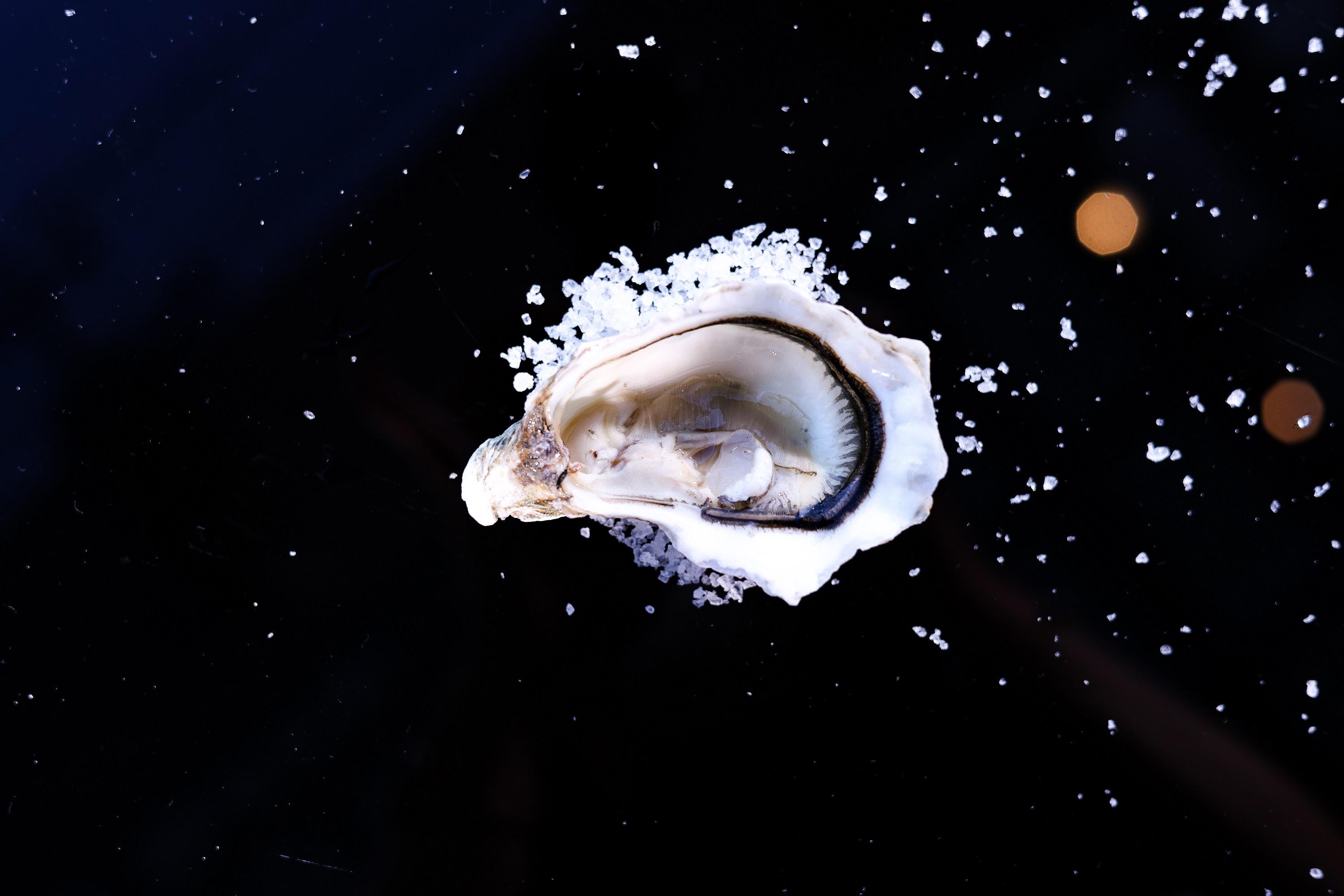 紛迪加蠔Fine De Claire (法國) (港幣$45)