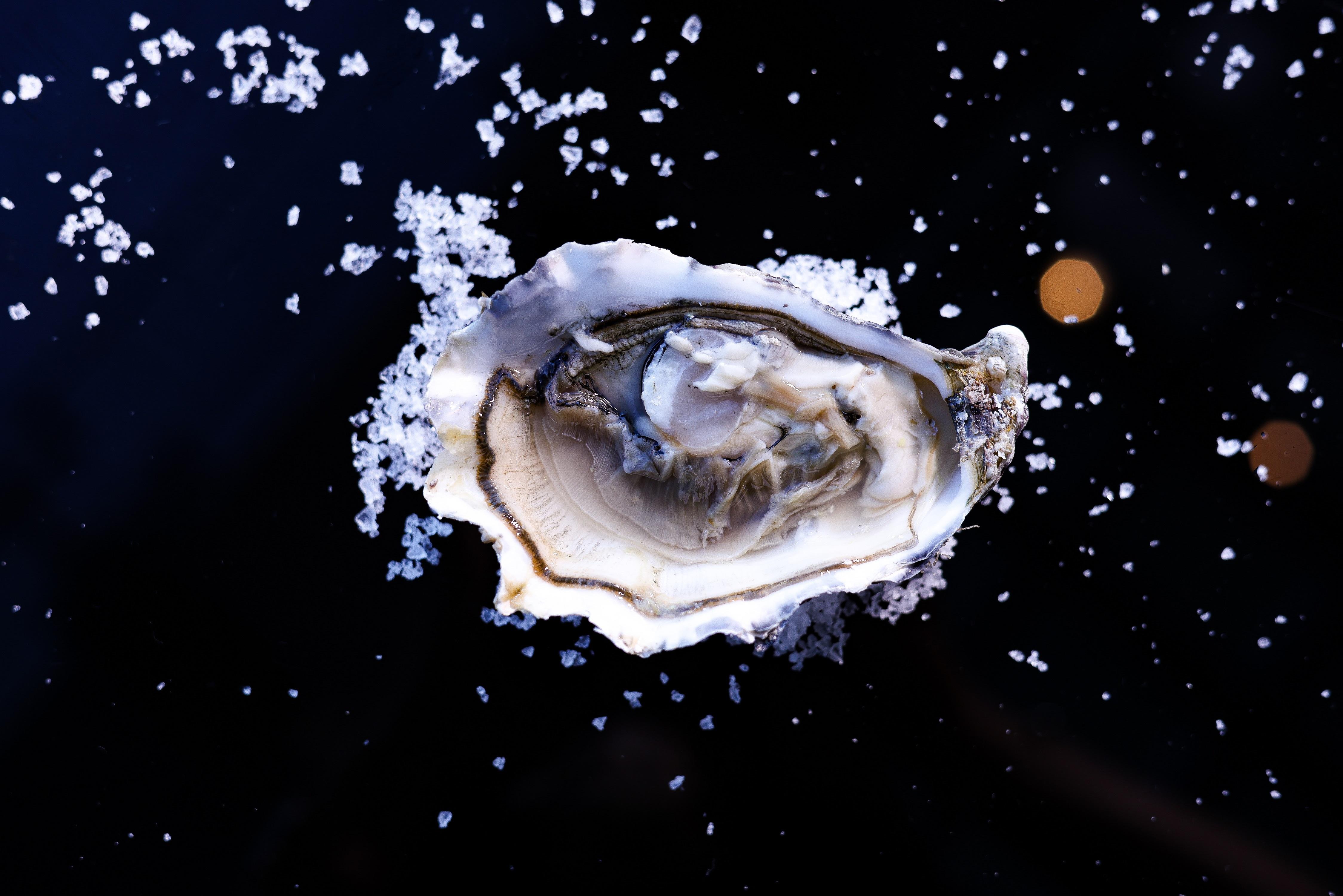 諾曼第水晶蠔Krystale Normandie (法國) (港幣$65)