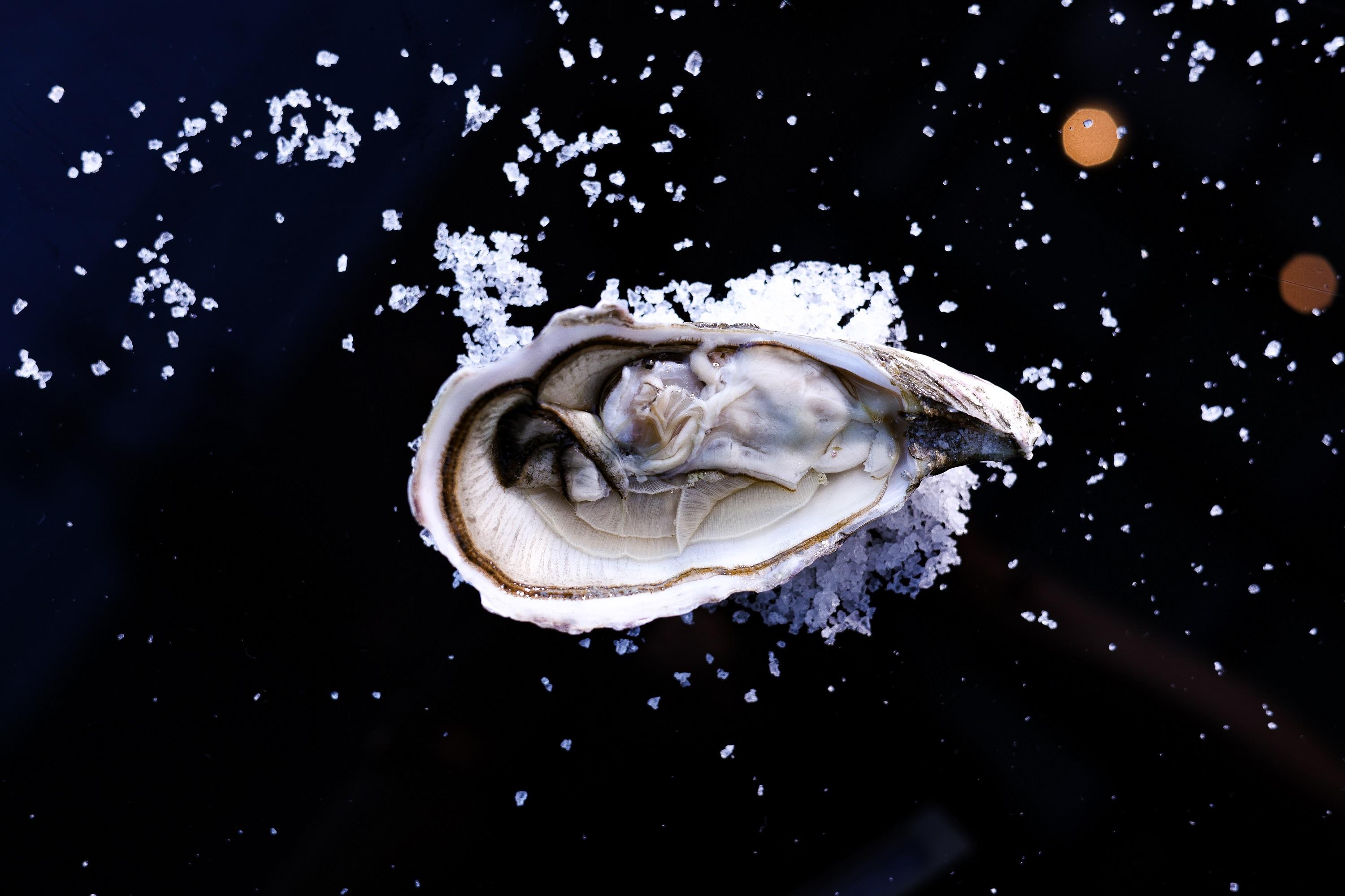 路易費莎生蠔Louët-Feisser (愛爾蘭) (港幣$65)