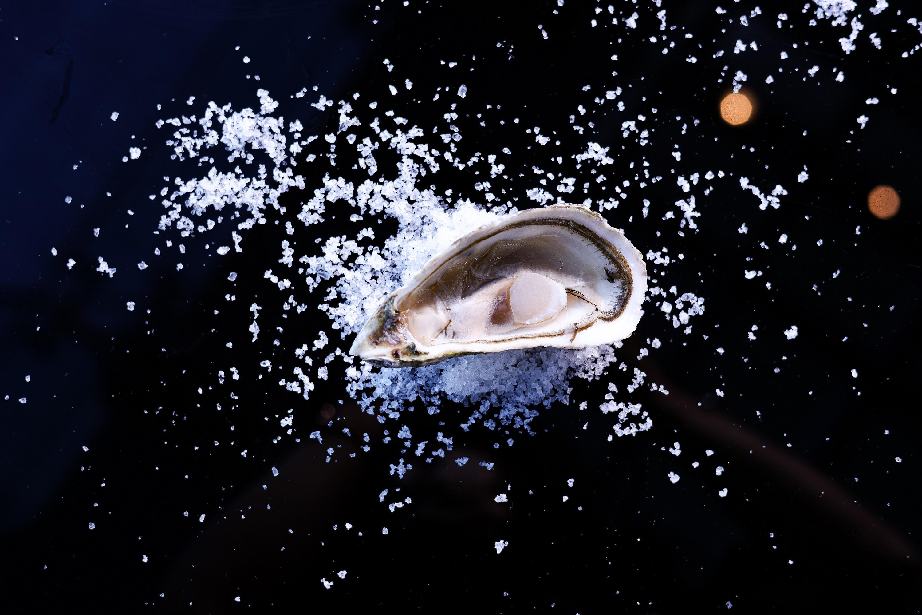 迪巴灣生蠔Dibba Bay (杜拜) (港幣$65)