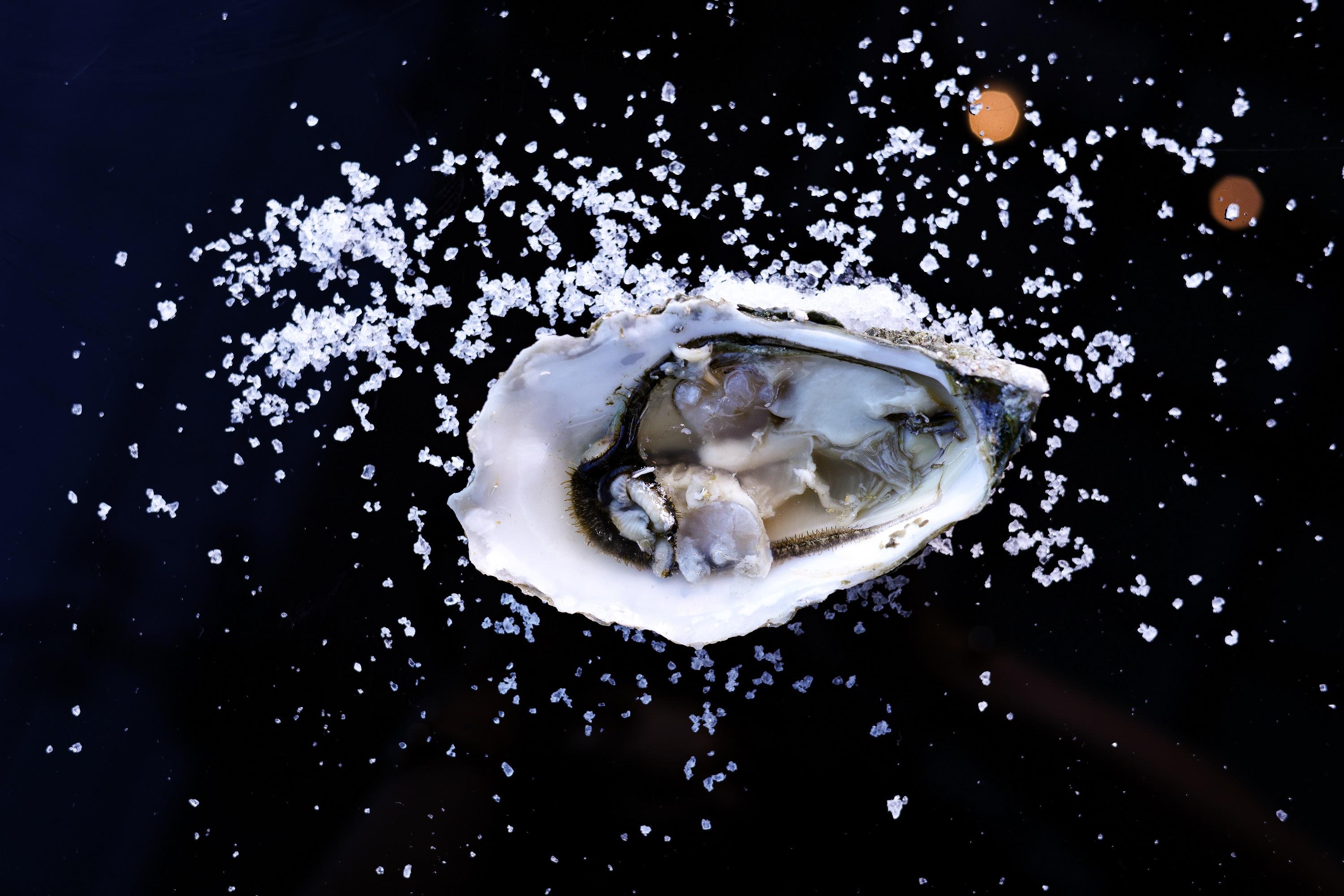 金皇御生蠔Ostra Regal (法國) (港幣$105)