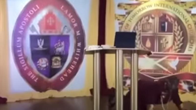 Lamor Whitehead佈道直播期間遇劫。(YouTube)