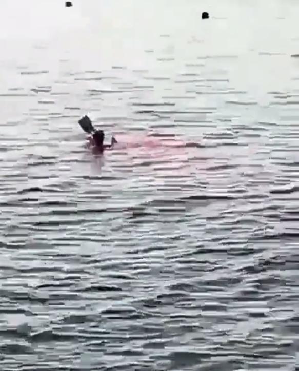 一名婦人在染紅的海水中奮力游泳。(Twitter)