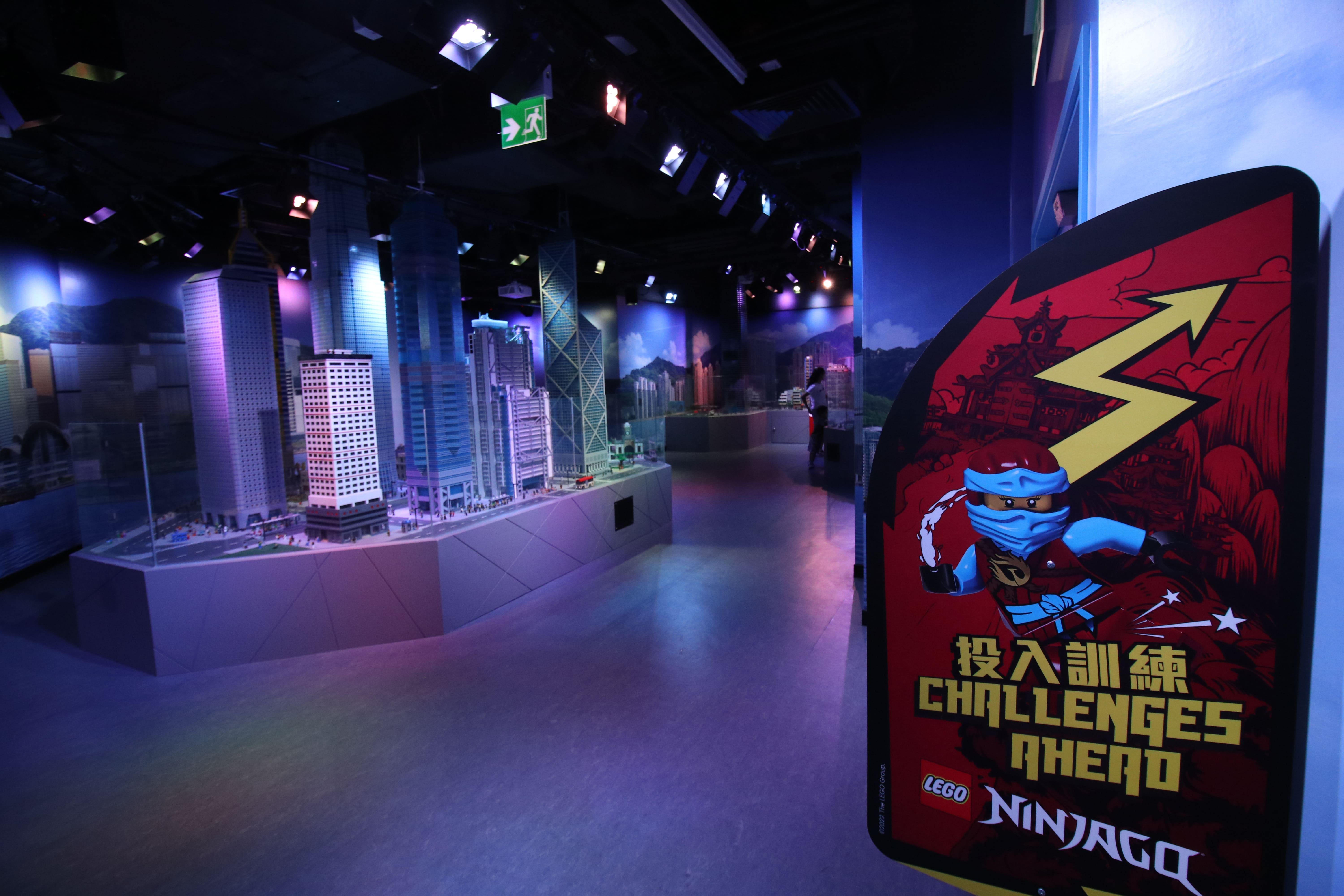 開始投入訓練。