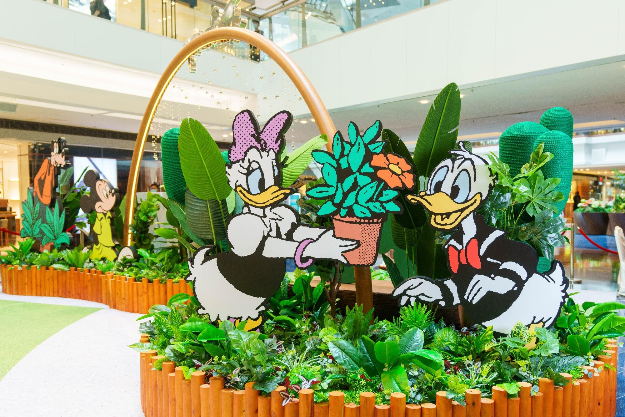 黛絲和唐老鴨熱愛大自然,親自種植各種花卉盆栽點綴花園,為生活增添甜蜜和樂趣!