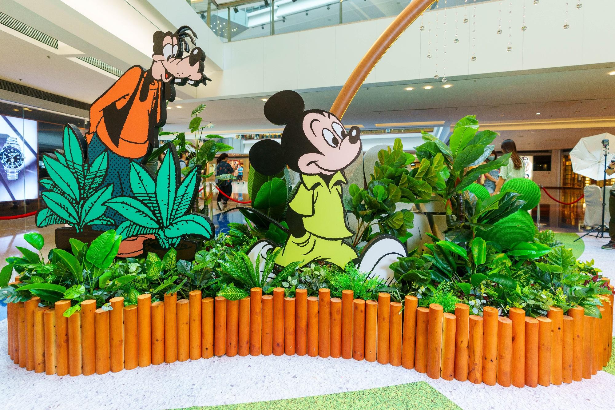 米奇與高飛結伴而來,欣賞花園中的植物,不亦樂乎!