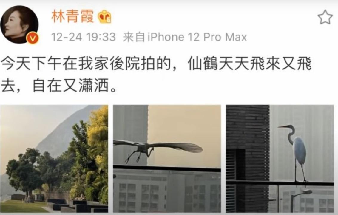 林青霞不時分享在豪宅內的生活。(微博圖片)