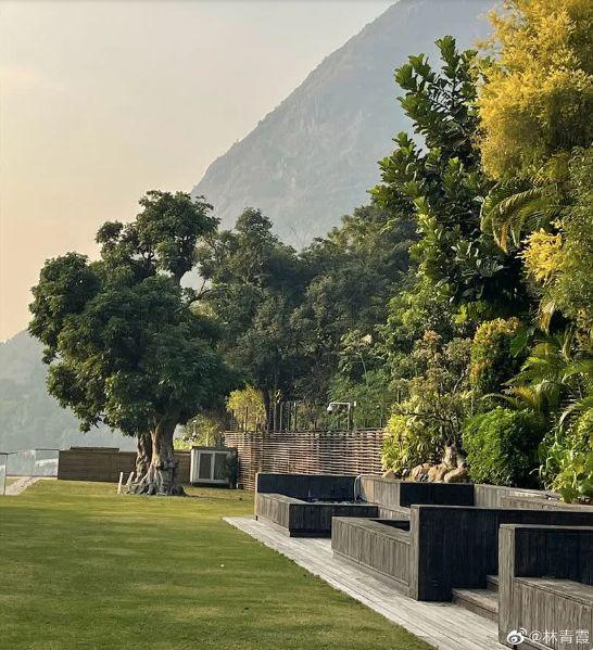 豪宅內部鋪上草皮,還種有樹木。(林青霞微博圖)