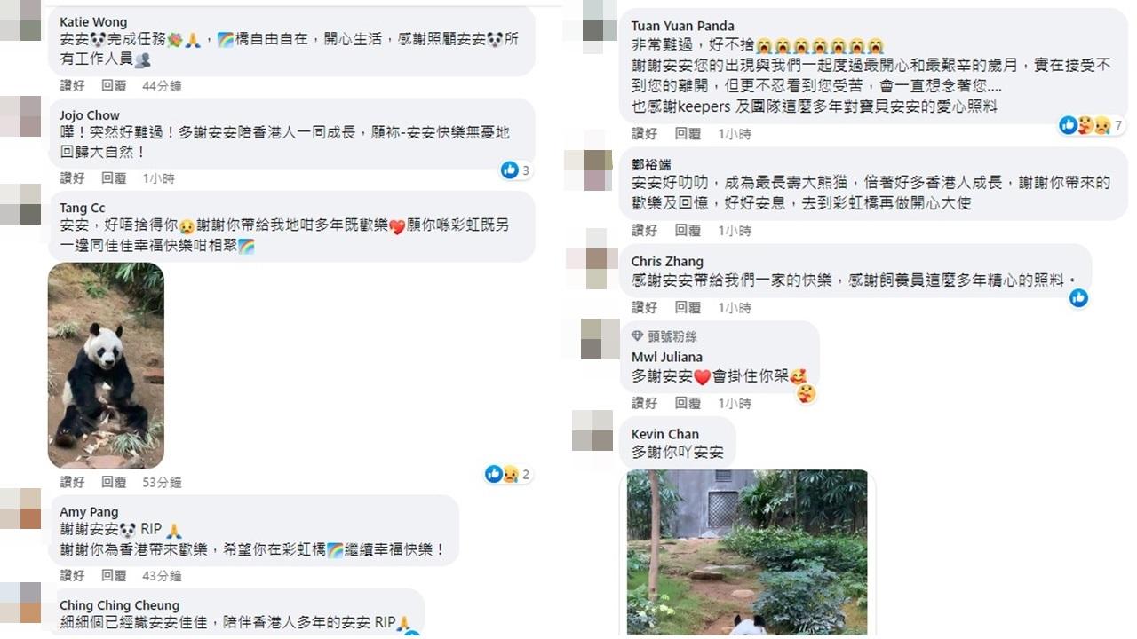 大批網民湧入海洋公園fb留言悼念「安安」。