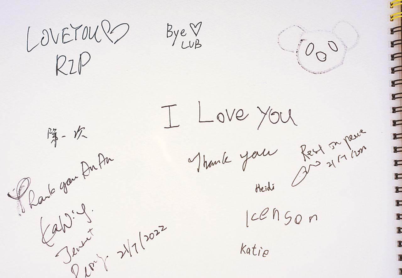 多謝安安 伴港人23載 安樂離世