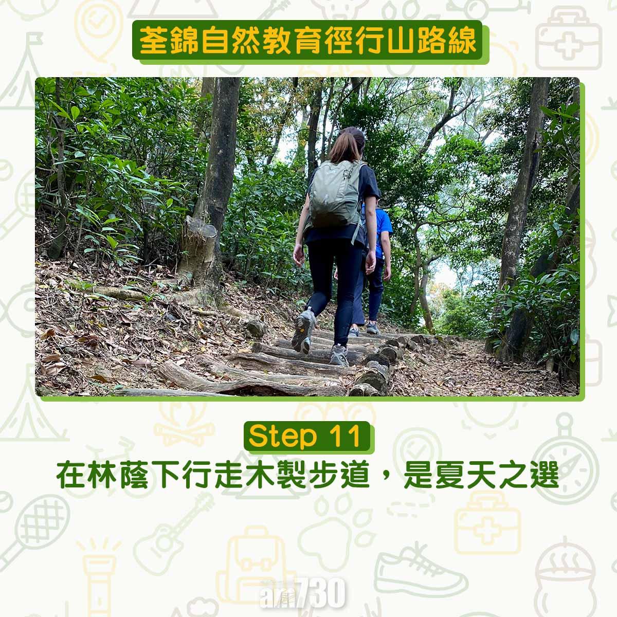 新手行山路線|荃錦自然教育徑 2公里短遊浸森林浴