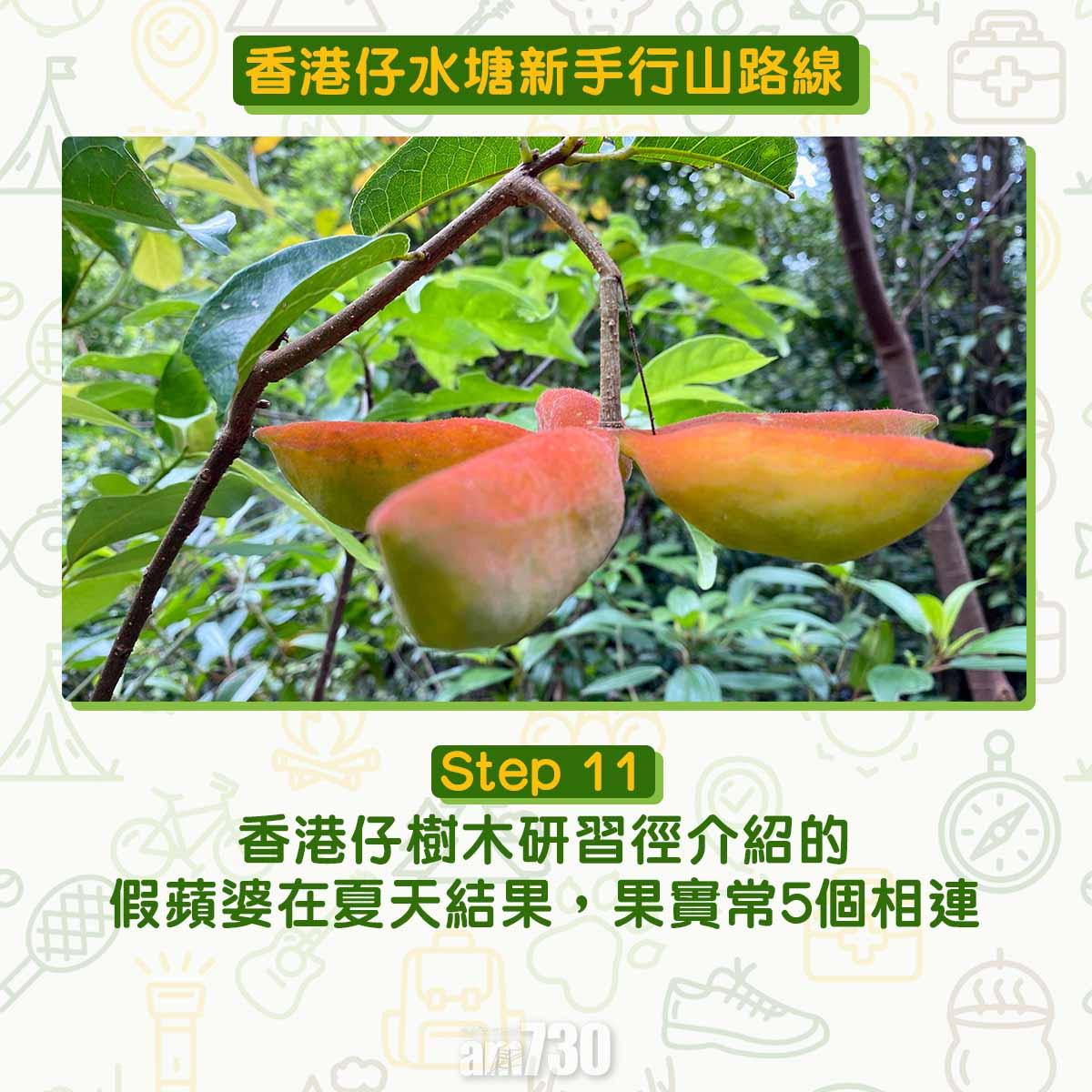 香港仔水塘新手行山路線