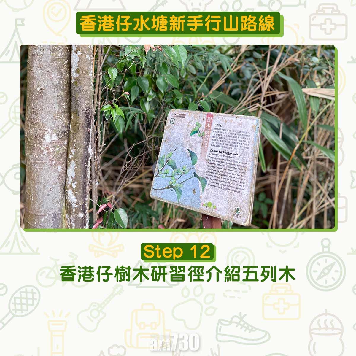 香港仔水塘新手行山路線