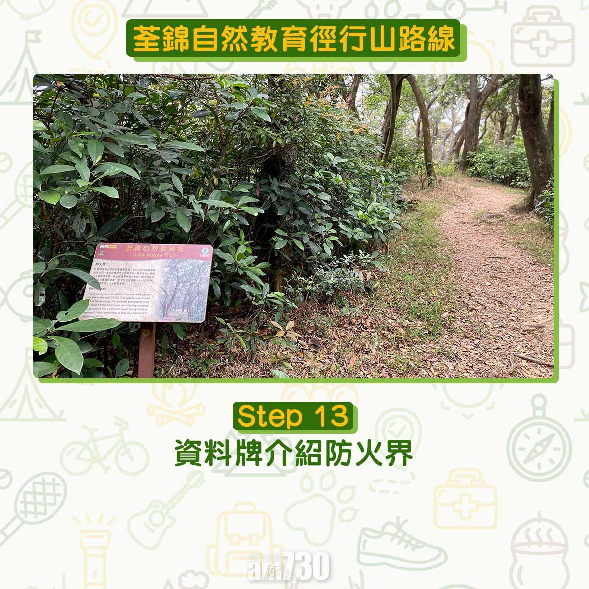 新手行山路線|荃錦自然教育徑 2公里短遊浸森林浴