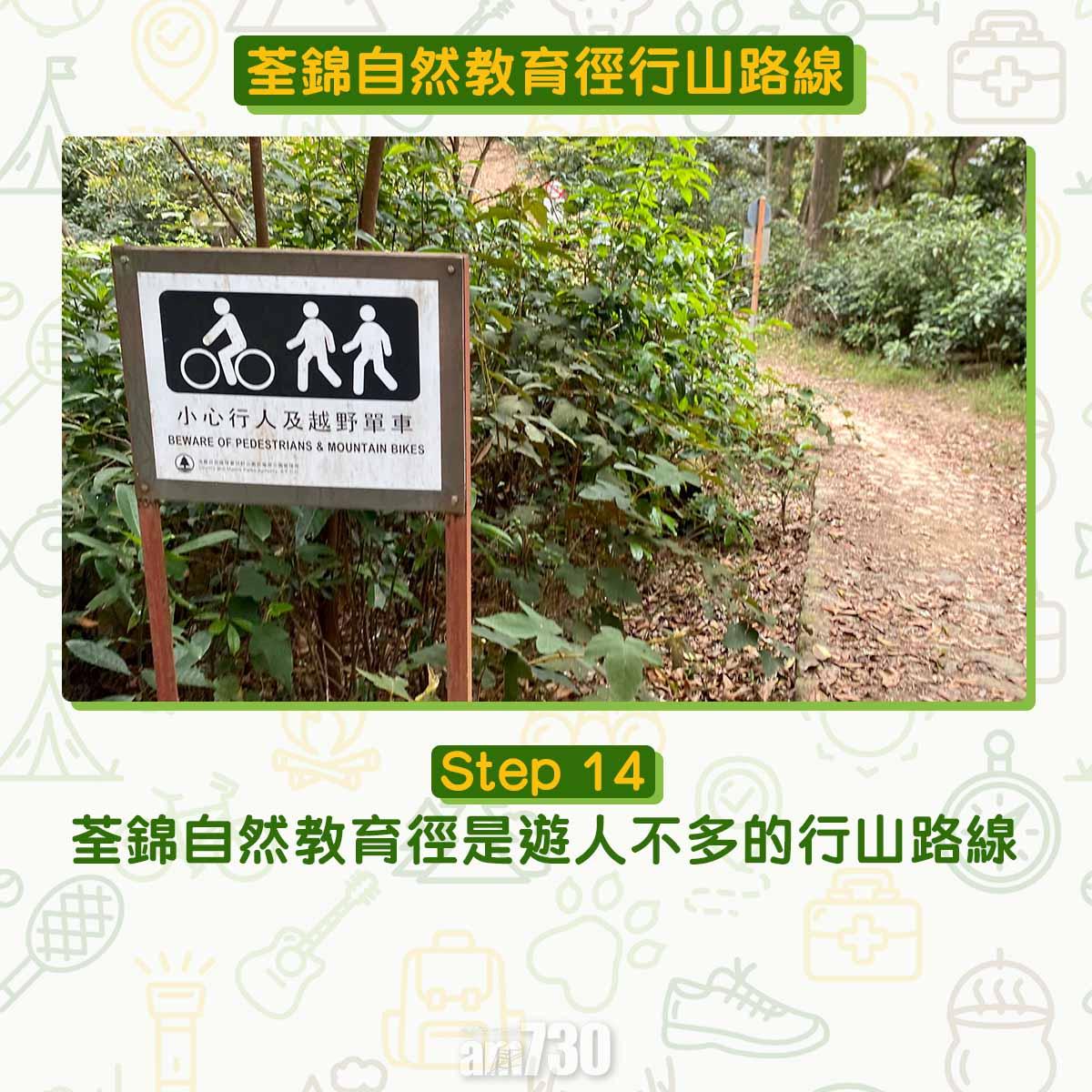 新手行山路線|荃錦自然教育徑 2公里短遊浸森林浴