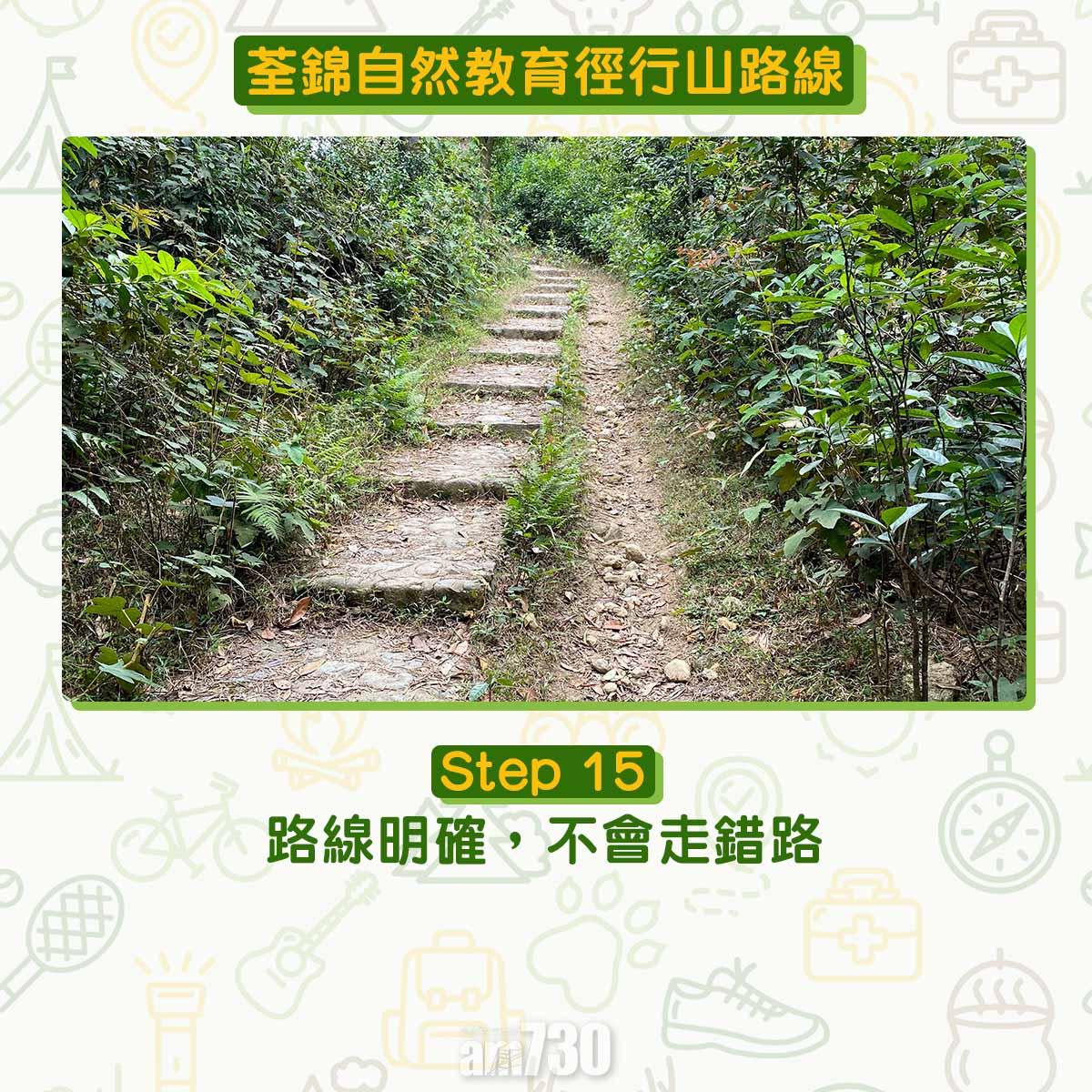 新手行山路線|荃錦自然教育徑 2公里短遊浸森林浴