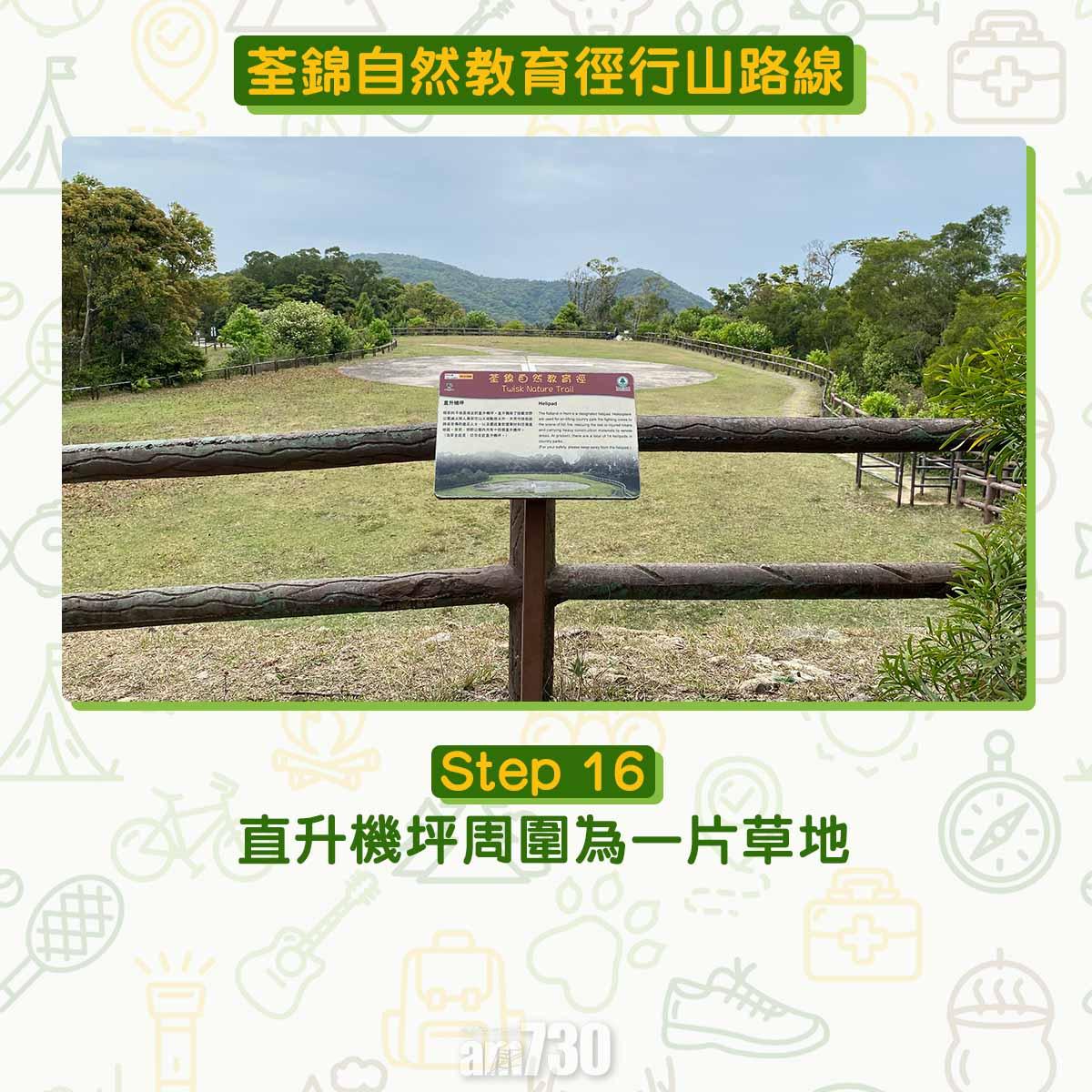 新手行山路線|荃錦自然教育徑 2公里短遊浸森林浴