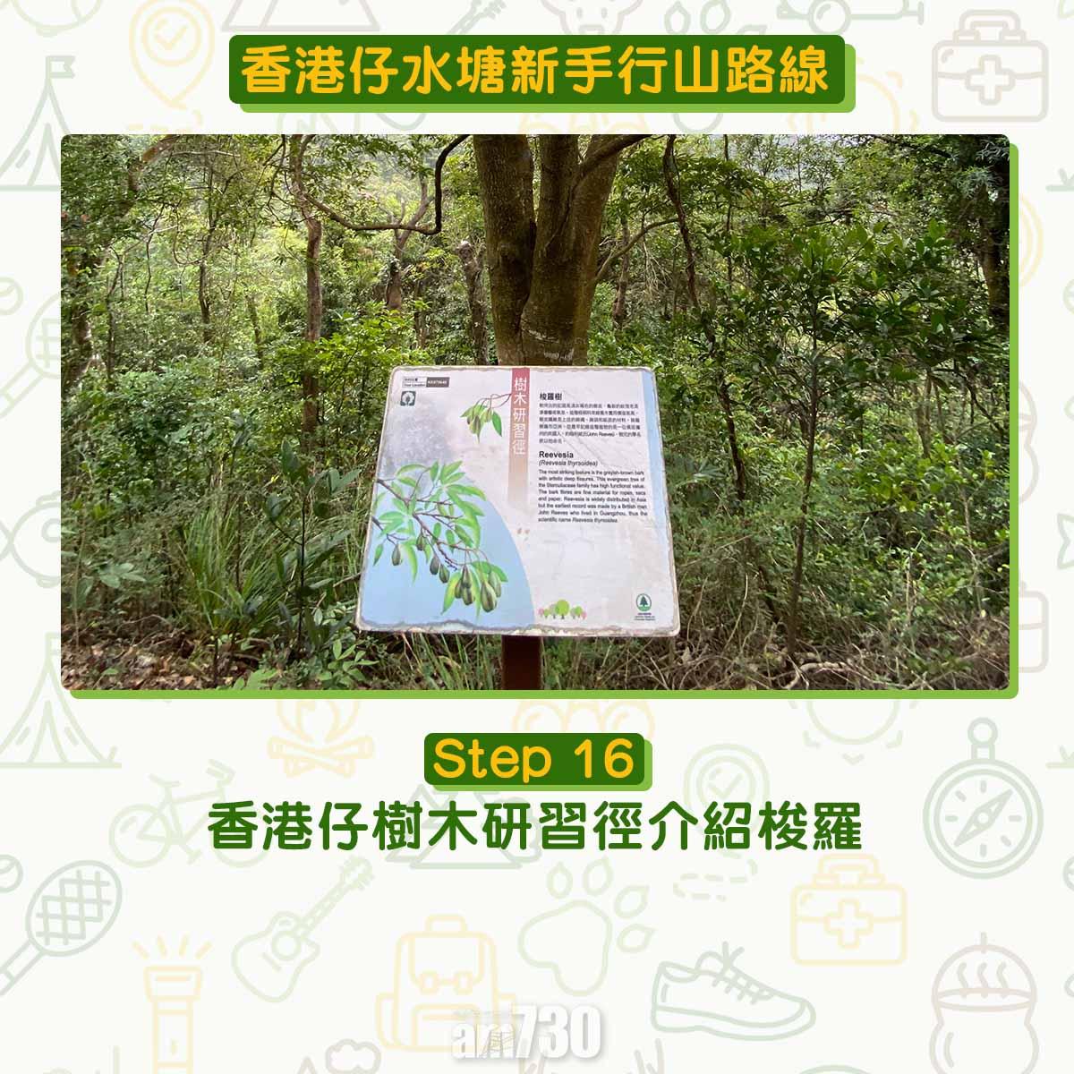 香港仔水塘新手行山路線