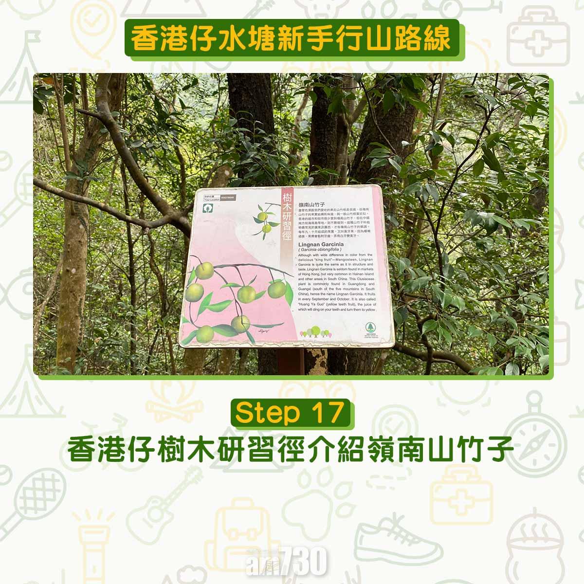 香港仔水塘新手行山路線