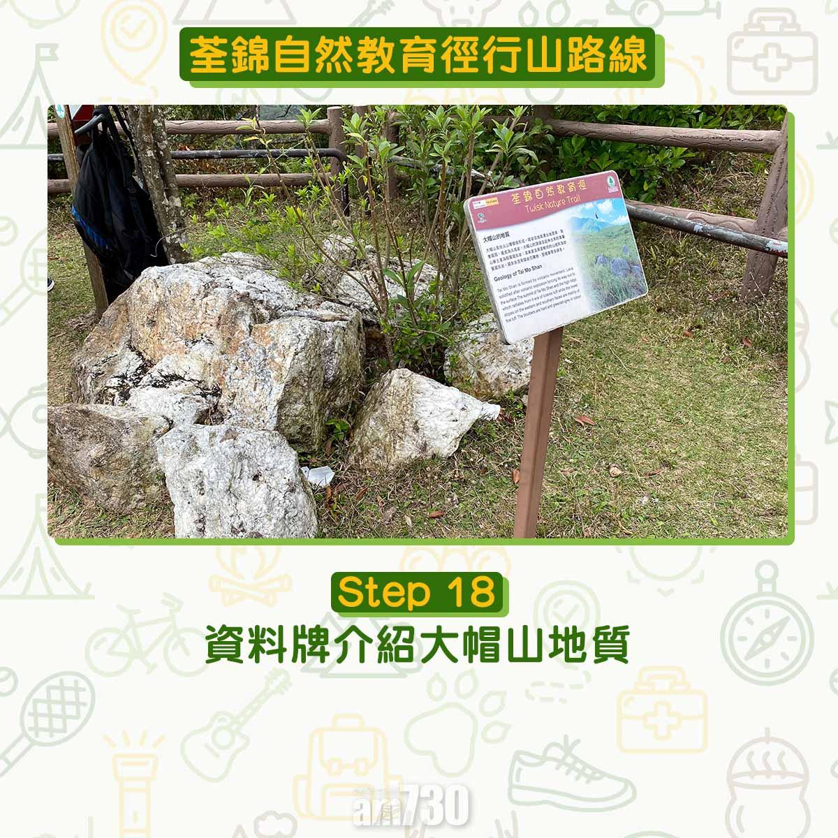 新手行山路線|荃錦自然教育徑 2公里短遊浸森林浴