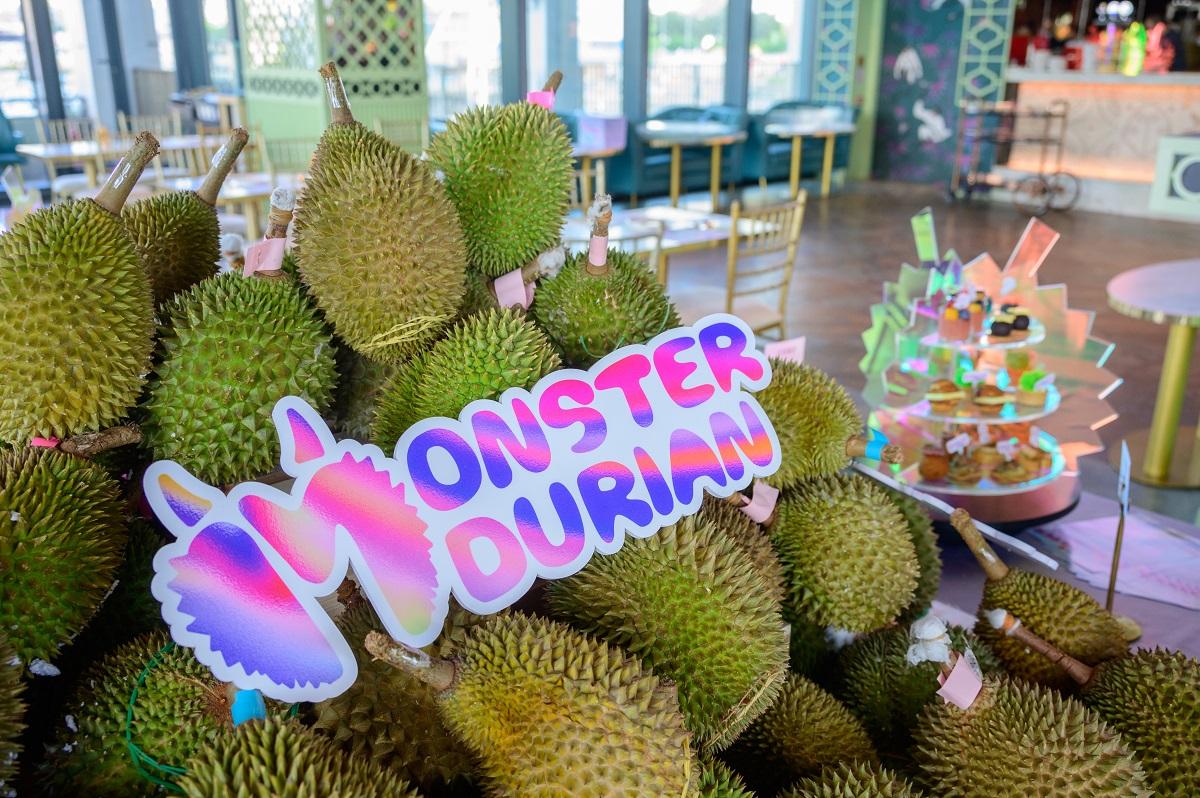 榴槤用馬來西亞彭亨州直送貨色