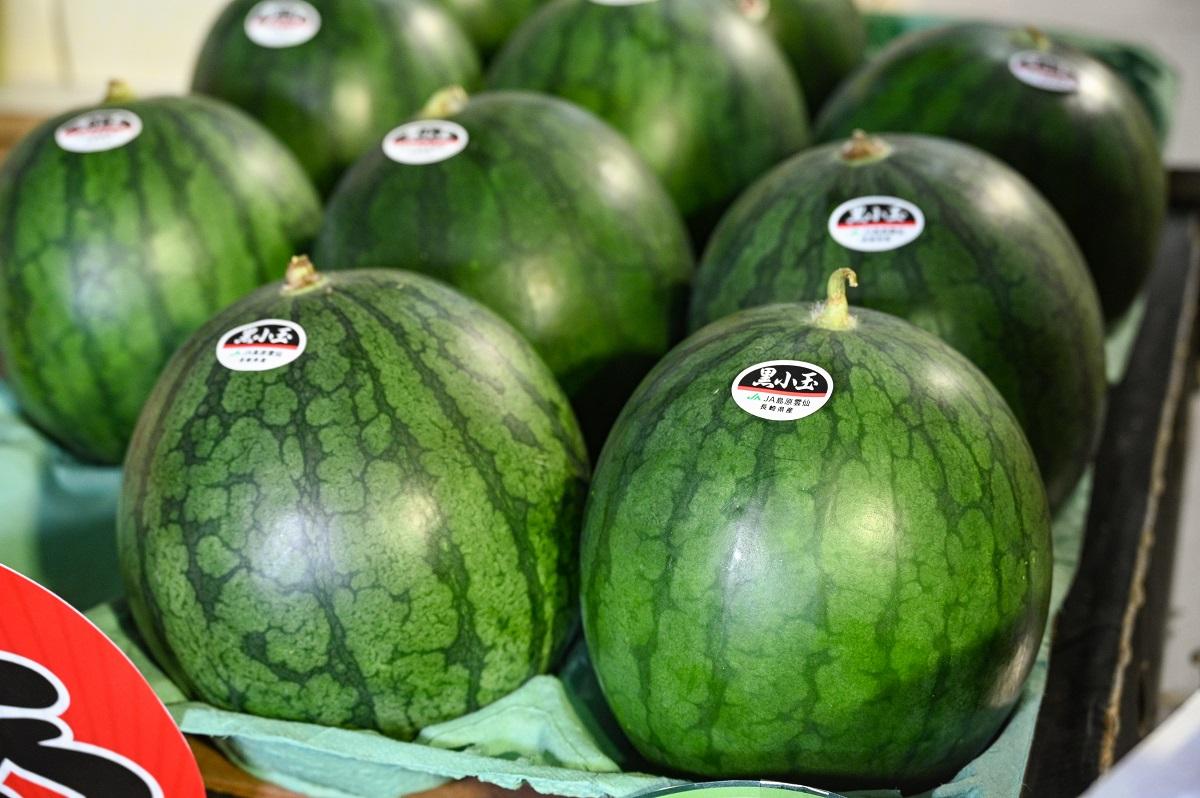 島原雲仙-黑小玉