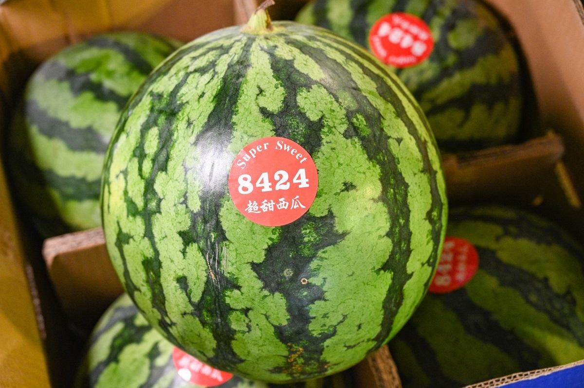 國產-8424西瓜