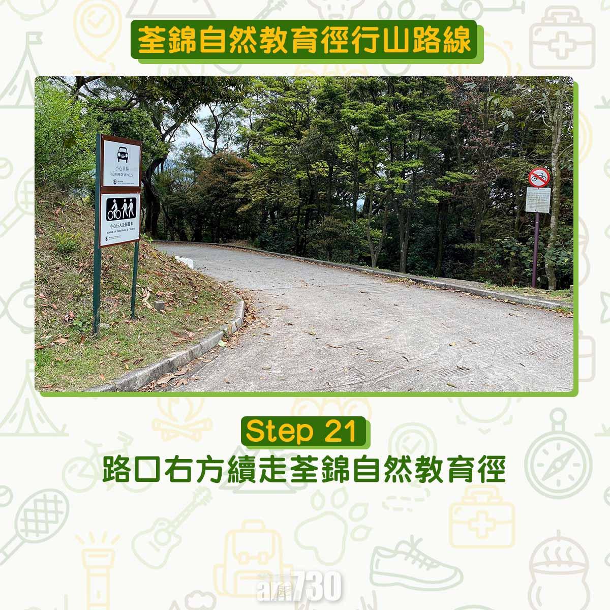 新手行山路線|荃錦自然教育徑 2公里短遊浸森林浴
