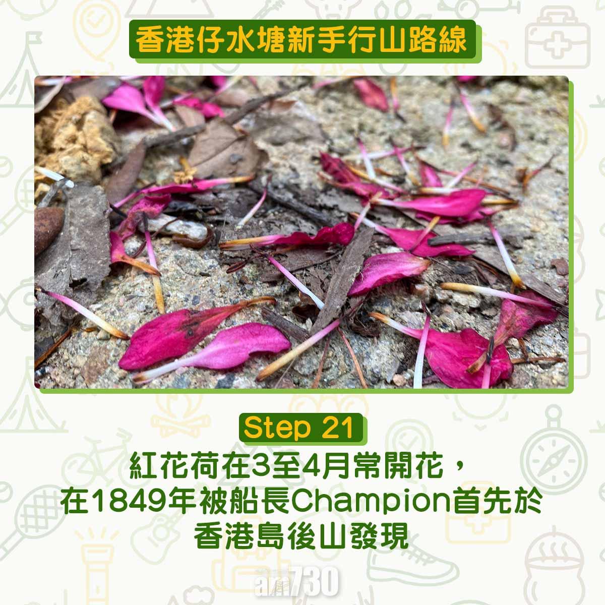 香港仔水塘新手行山路線