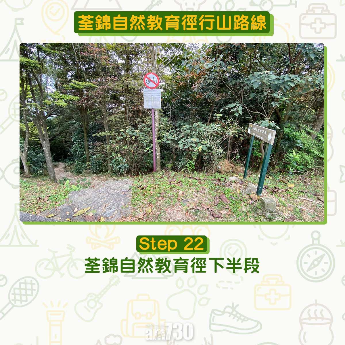 新手行山路線|荃錦自然教育徑 2公里短遊浸森林浴
