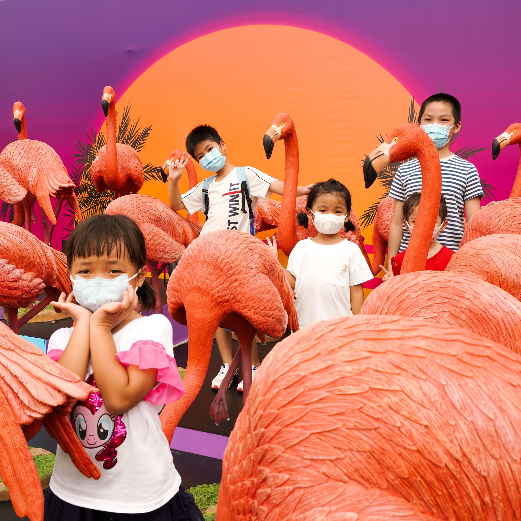 場內亦設有多個打卡位。