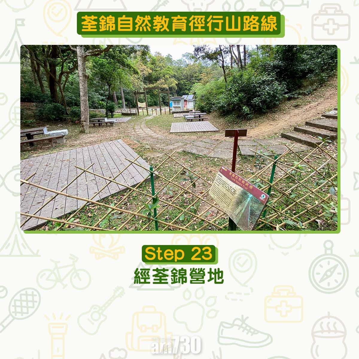 新手行山路線|荃錦自然教育徑 2公里短遊浸森林浴