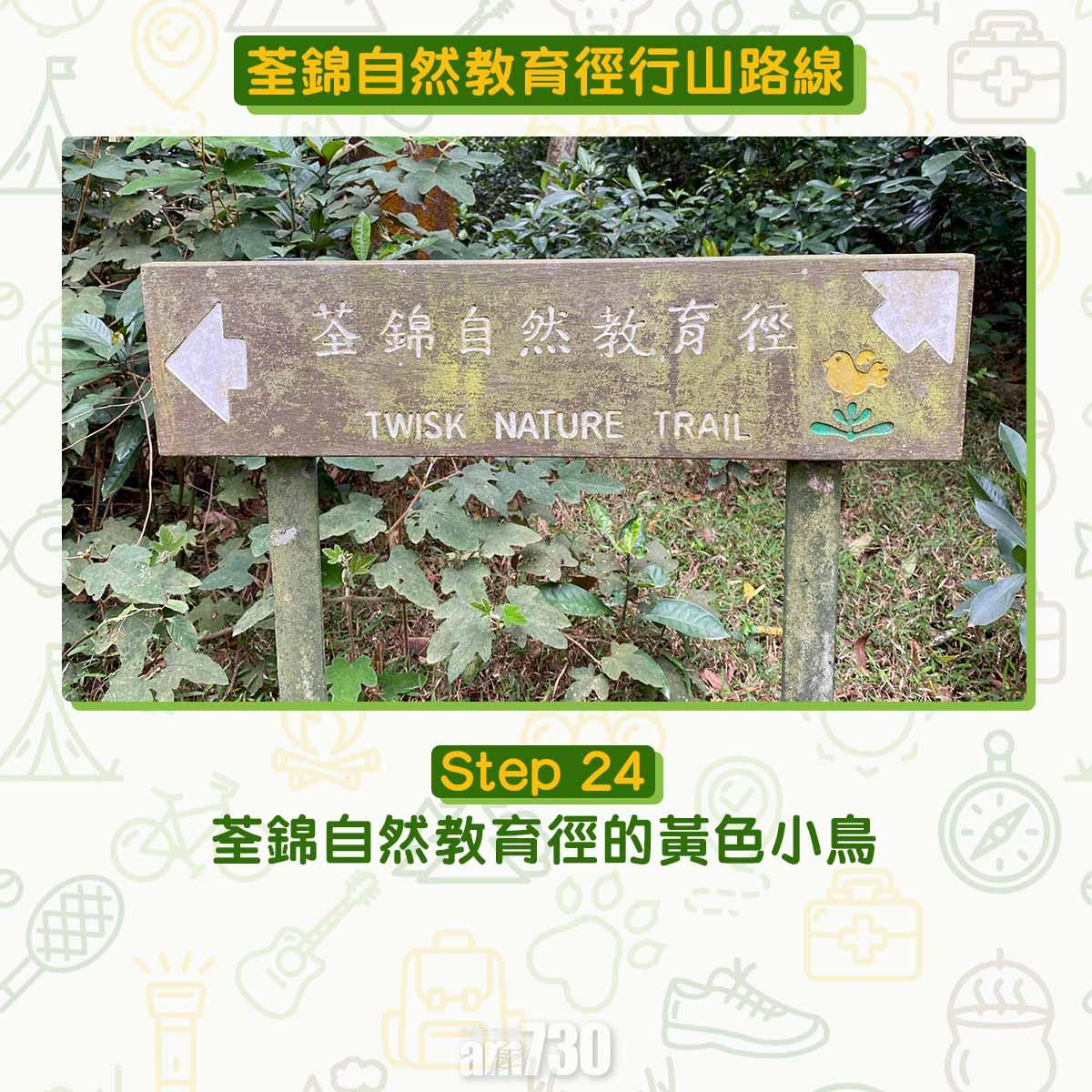 新手行山路線|荃錦自然教育徑 2公里短遊浸森林浴