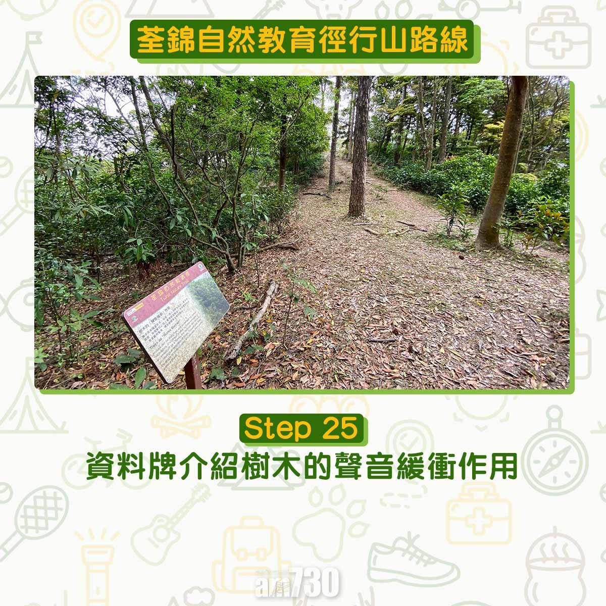 新手行山路線|荃錦自然教育徑 2公里短遊浸森林浴
