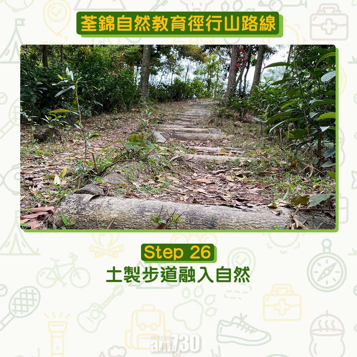 新手行山路線|荃錦自然教育徑 2公里短遊浸森林浴