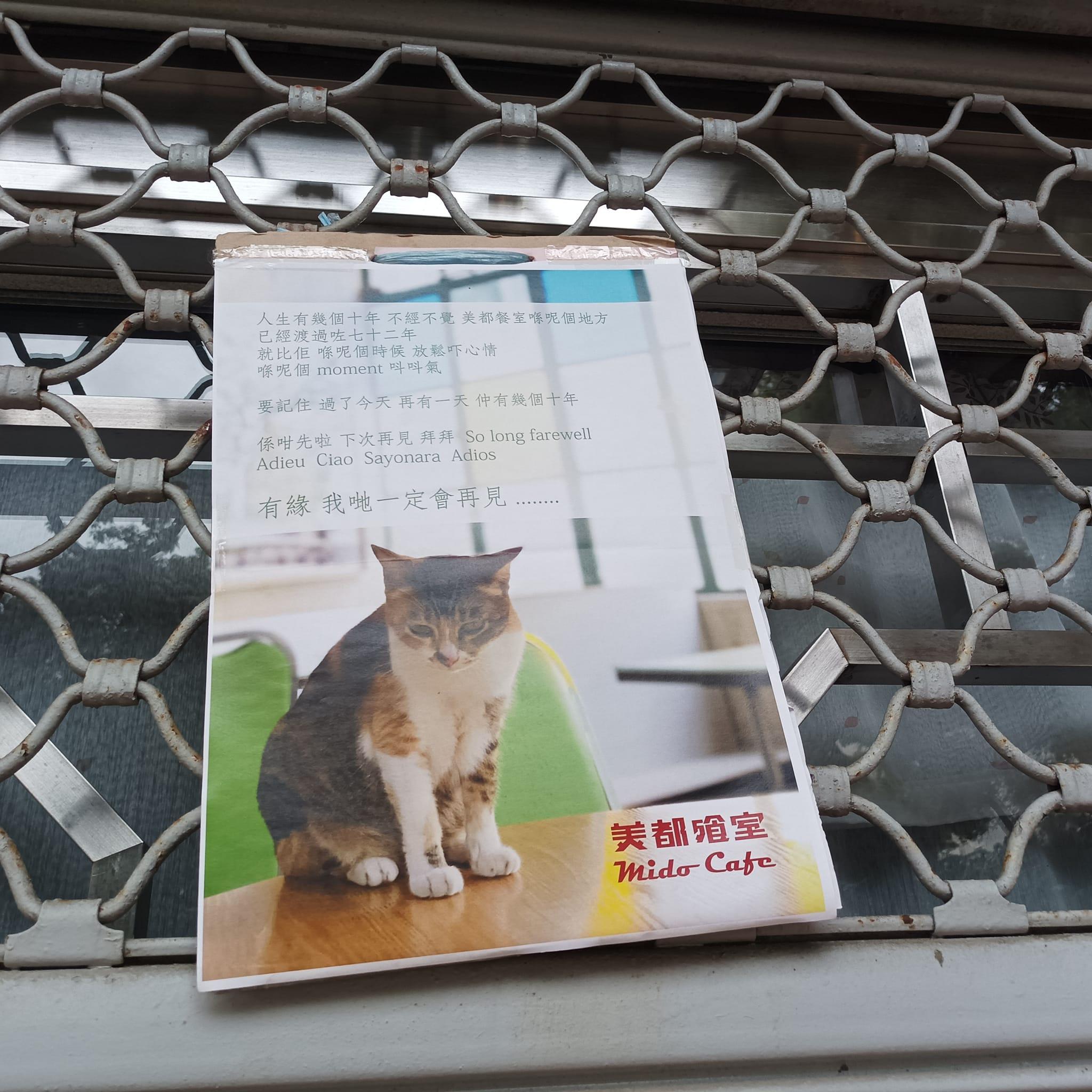 美都餐室再度停業 門口落閘貼貓貓通告「係咁先啦,下次再見」