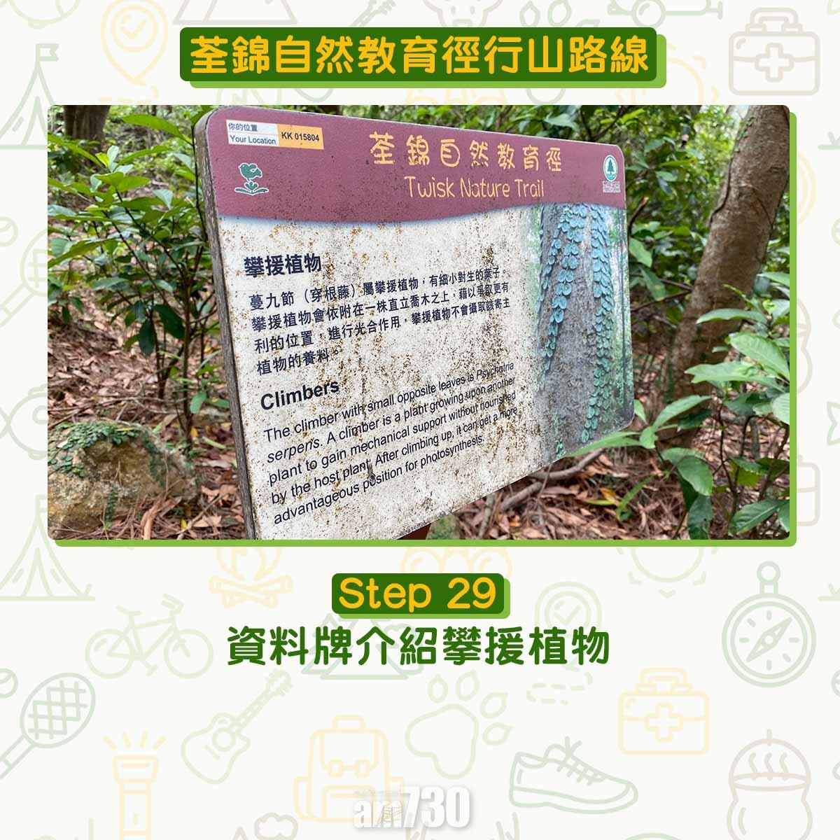 新手行山路線|荃錦自然教育徑 2公里短遊浸森林浴