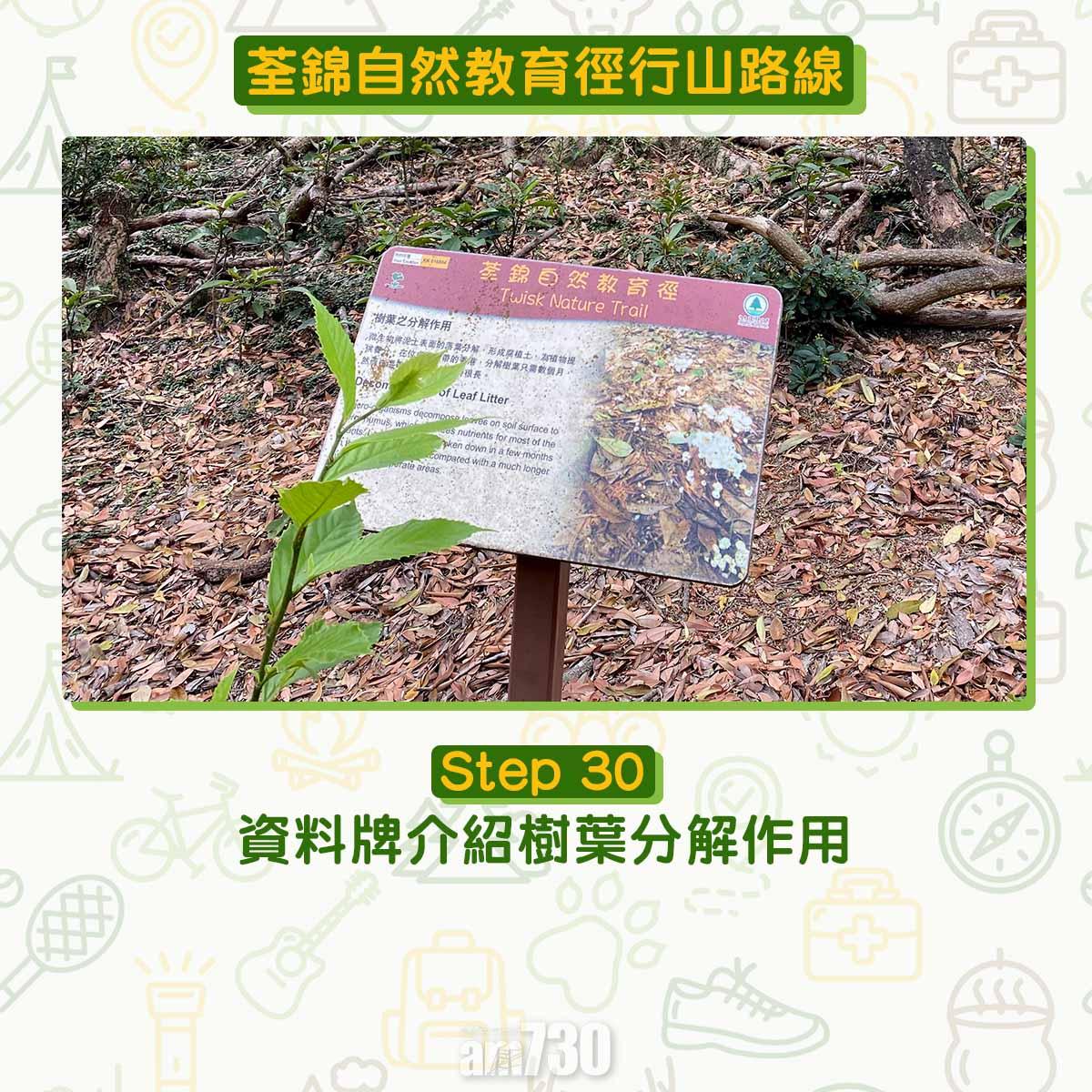 新手行山路線|荃錦自然教育徑 2公里短遊浸森林浴