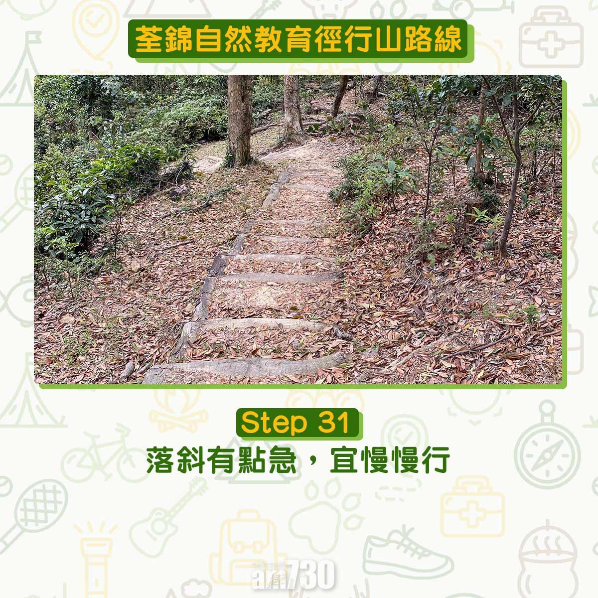 新手行山路線|荃錦自然教育徑 2公里短遊浸森林浴