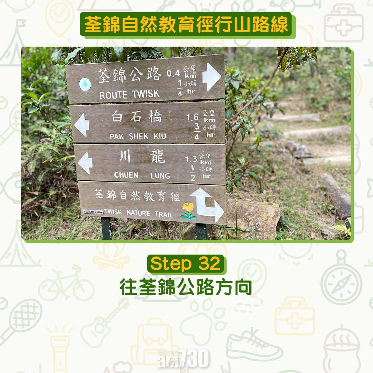 新手行山路線|荃錦自然教育徑 2公里短遊浸森林浴