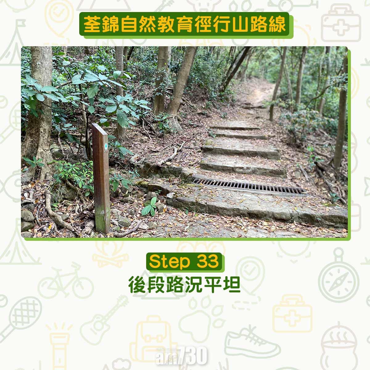 新手行山路線|荃錦自然教育徑 2公里短遊浸森林浴