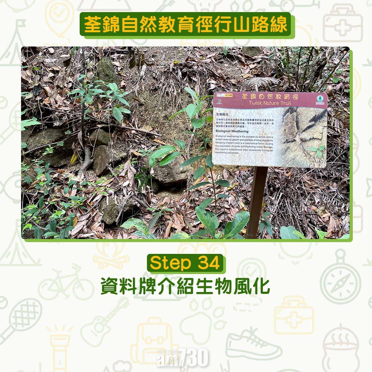 新手行山路線|荃錦自然教育徑 2公里短遊浸森林浴