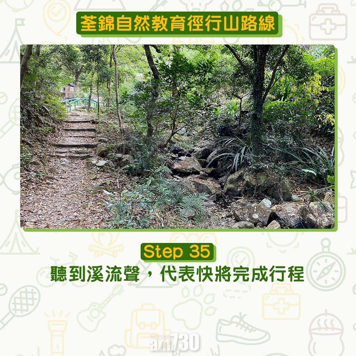 新手行山路線|荃錦自然教育徑 2公里短遊浸森林浴