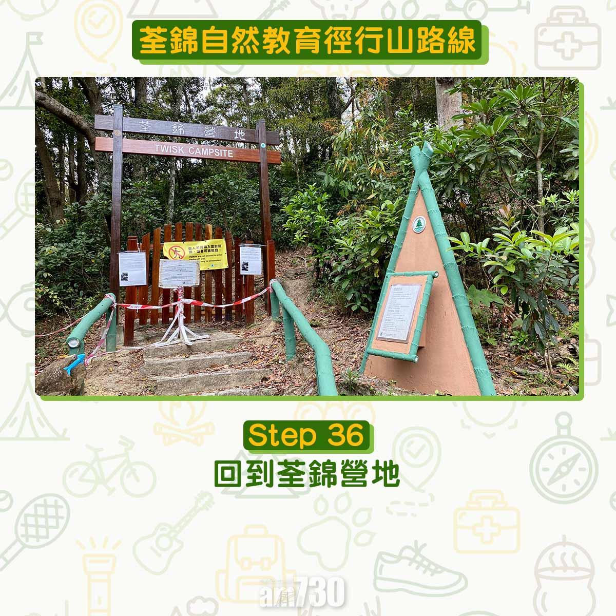 新手行山路線|荃錦自然教育徑 2公里短遊浸森林浴