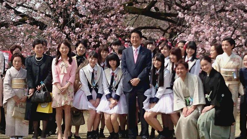 安倍晉三主辦的賞櫻會,陳美齡到場支持。