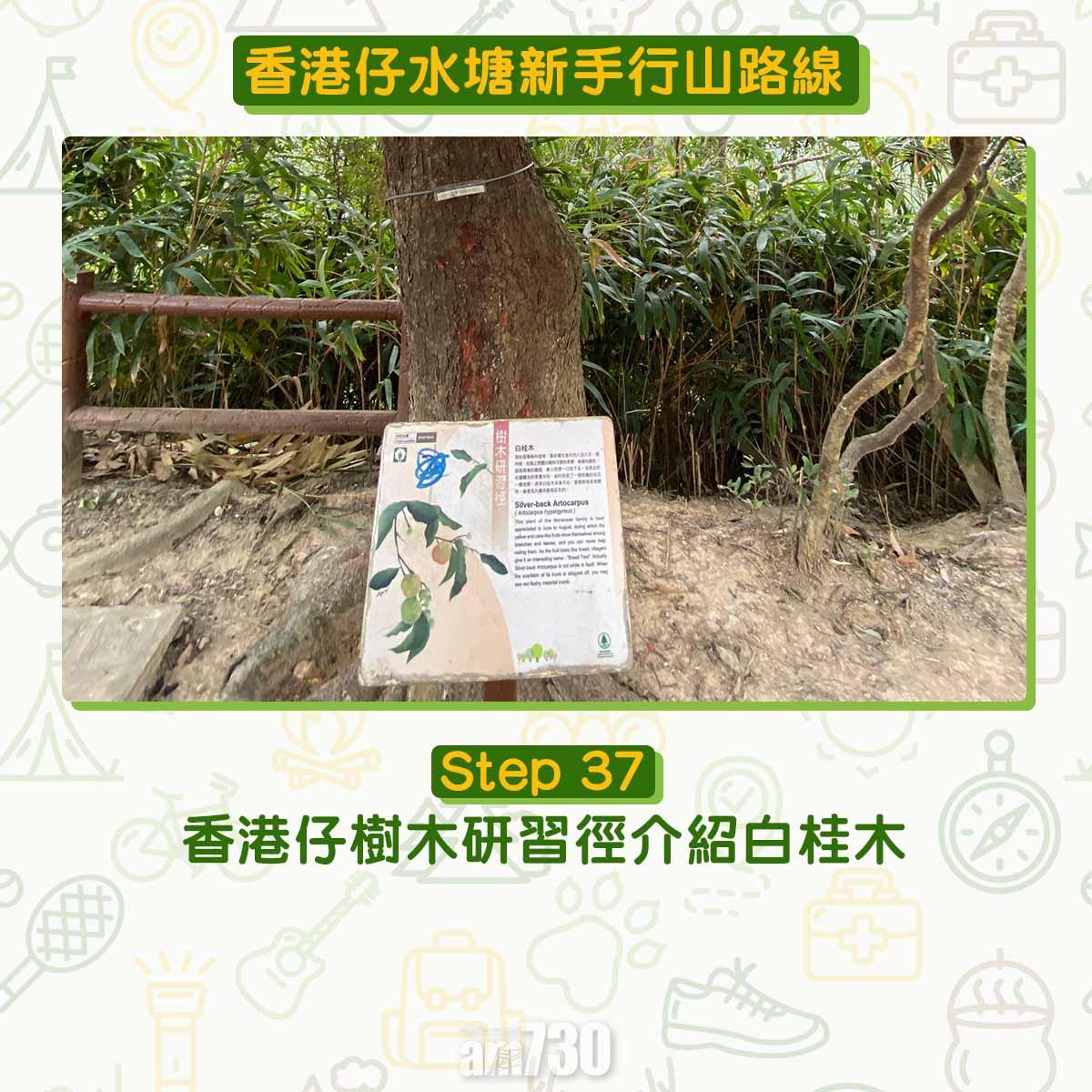 香港仔水塘新手行山路線