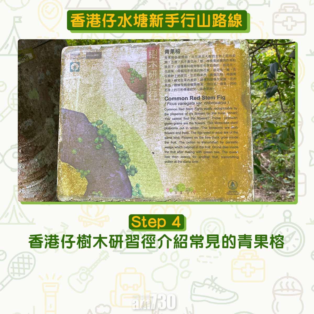 香港仔水塘新手行山路線