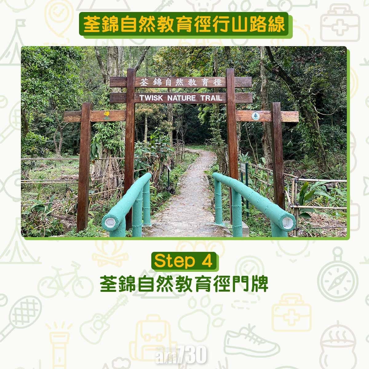 新手行山路線|荃錦自然教育徑 2公里短遊浸森林浴